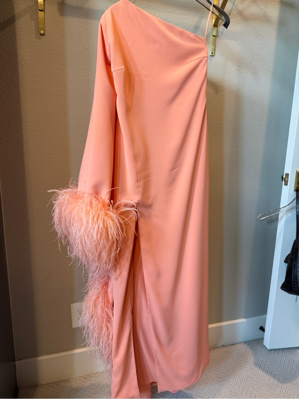 Blazy Shower One-Shoulder Peach Feather-Trim Gown